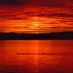 探索必赢平台的安全性与用户体验,保障你的游戏乐趣 5skzo6egho