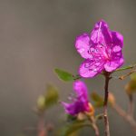 探索欧博abg官网:全面了解其功能与服务 f94xemeq6