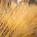 探索星辉娱乐注册的独特魅力与丰富游戏选择 l38jc4