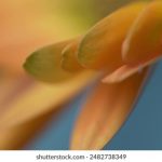 探索游艇会平台:海上休闲的新趋势与体验 ok3adl