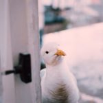 探索最新的彩娱乐app,尽享无尽娱乐与刺激体验 z7ohh6frv