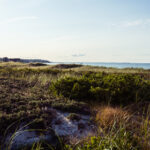 2014年羽毛球全赛事直播精彩对决不容错过 3lug4ss