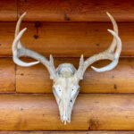 3D开奖组选投注金额与奖金规则详解 5y05li7