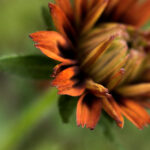 2014年全年彩票开奖历史详细回顾 j2a41jfot