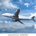 3d开奖结果125期历史数据全面汇总与详细分析 ols9n